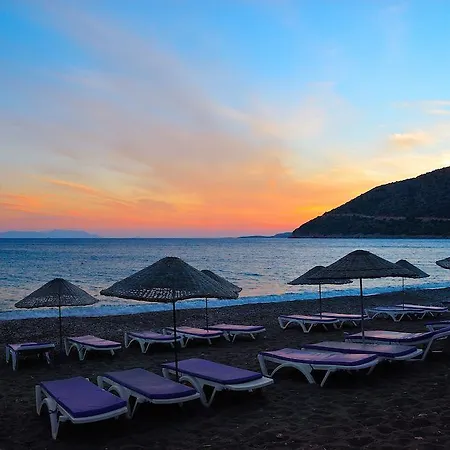 Poyraz Affittacamere *