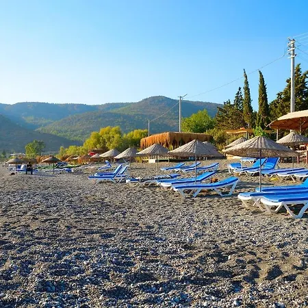 Poyraz * Mesudiye