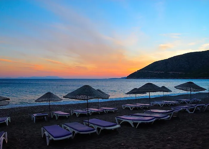 Poyraz بيت ضيافة *