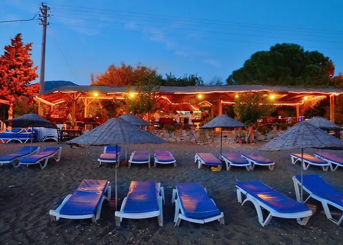 Poyraz ميسوديه