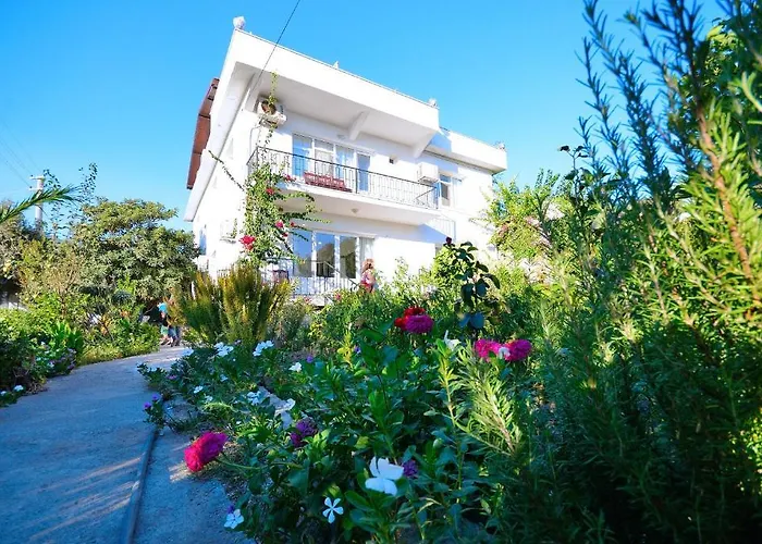 Poyraz * ميسوديه