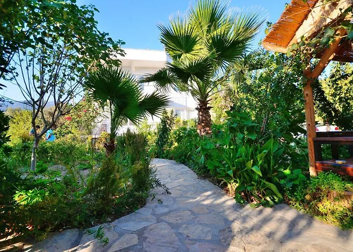 Poyraz ميسوديه