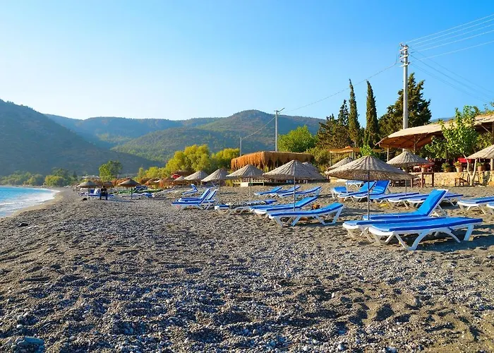 Poyraz * ميسوديه